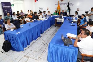 Sesion del pleno